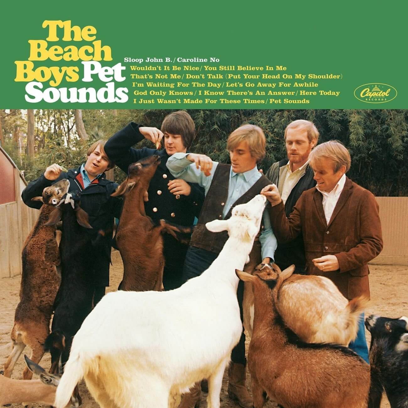 pet-sounds-mundo-de-musicas